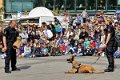 Polizeishow   052
